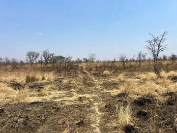 Farm & Agricultural Land