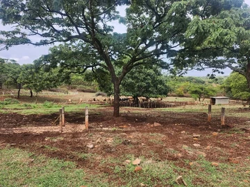 Farm & Agricultural Land