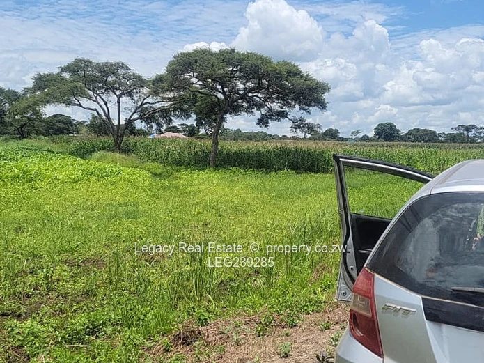 Prime 2,000sqm Stands for Sale Near Concession–Glendale Road, Concession