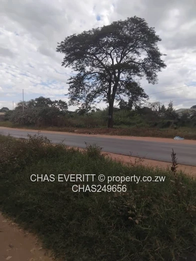 Prime Commercial Stand For Sale