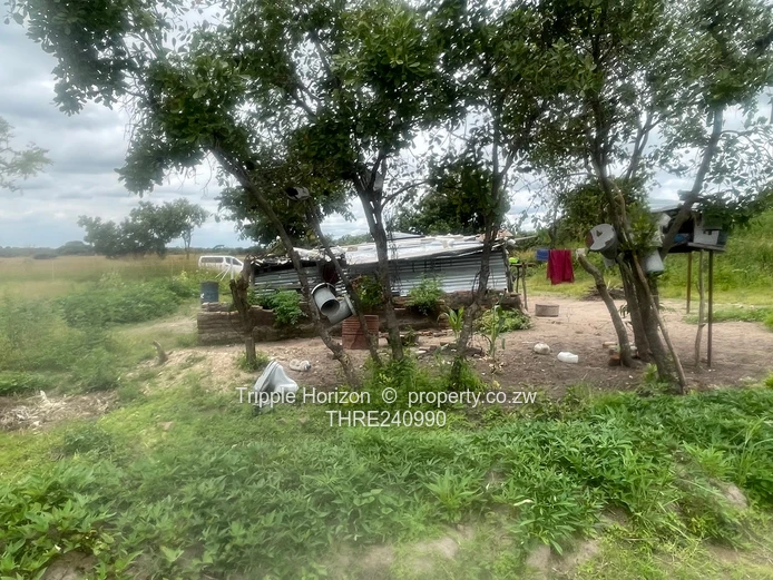 18,000m² Norton Farm — Orchard, Grazing & Main Access