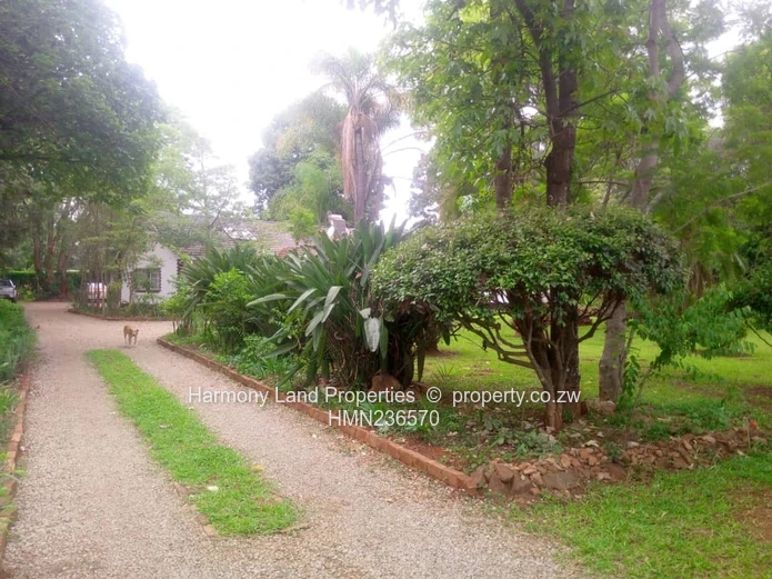 Mt Pleasant- 4 Bedroomed House To Let