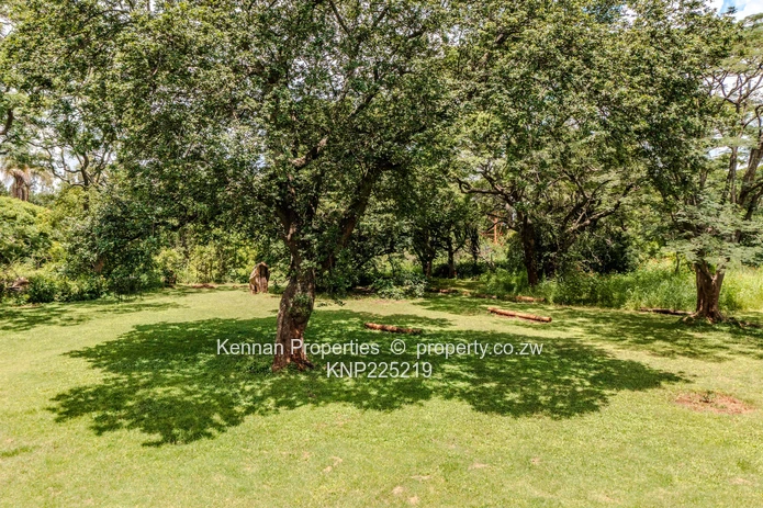 Your dream starts with 3 acres of land!