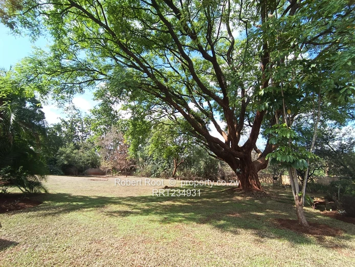 4 bed Commercial or residential property in Rolf Valley