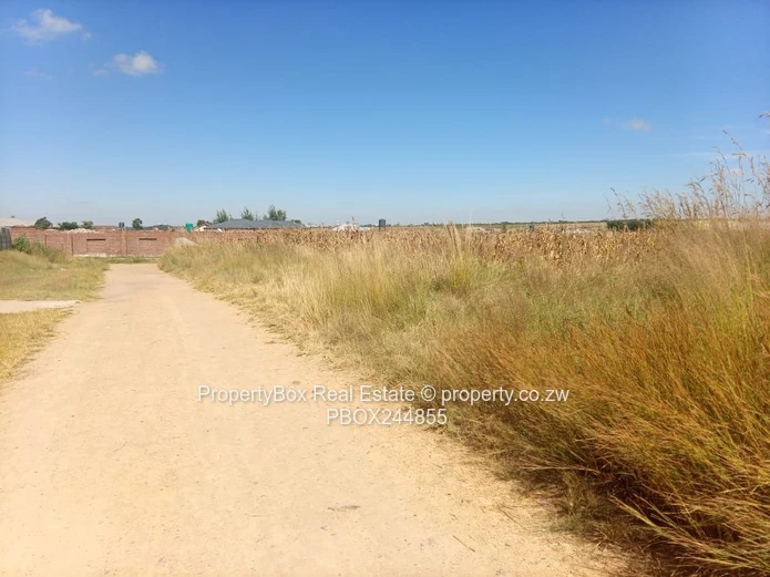 Vacant Stand for Sale in Hatfield Estate