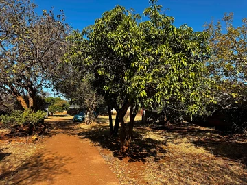 Stands & Residential Land