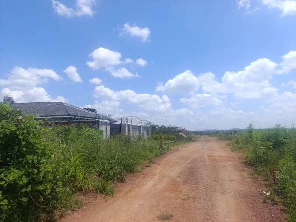 Stands & Residential Land