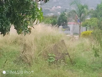 residential land with cottage