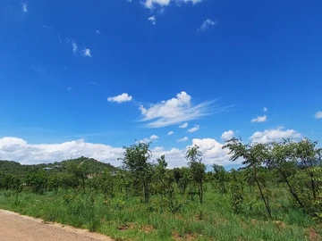 Commercial & Industrial Land