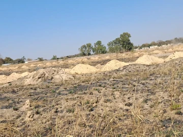 Land