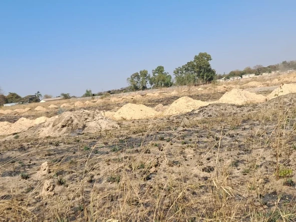 Land