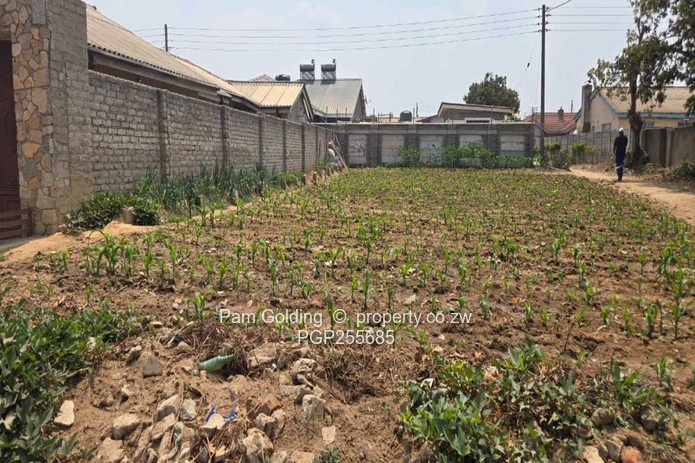 Ruwa Stands – Excellent Investment Opportunity