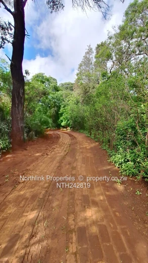 Emerald Hill on Pembroke Rd