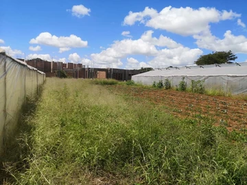 Stands & Residential Land