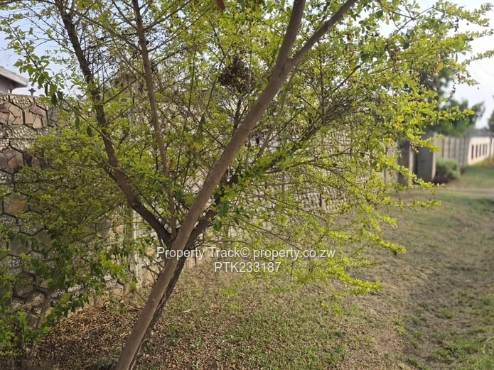 A neat and solid house!