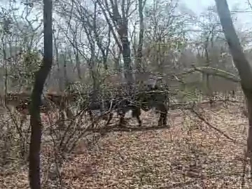 Farm & Agricultural Land