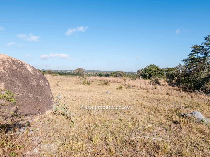Marondera Prime 29-Hectare Farm – An Outstanding Investment Opportunity
