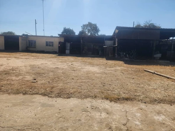 Epworth commercial stand for sale