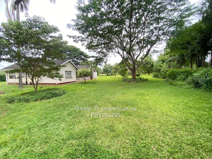 Charming Family Home on a Spacious, Tree-Filled Stand
