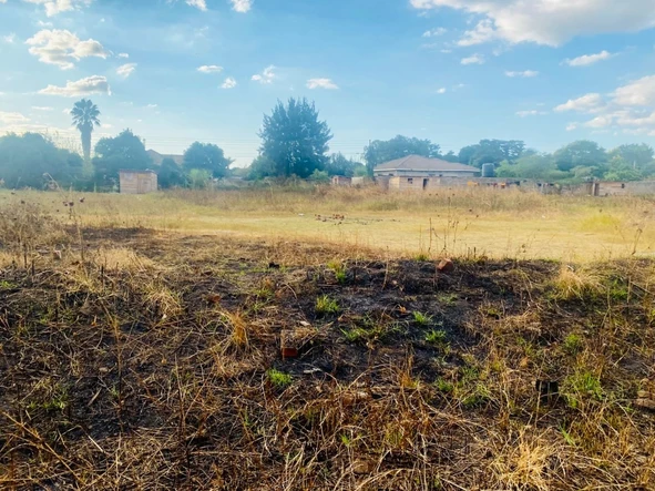 Stands & Residential Land