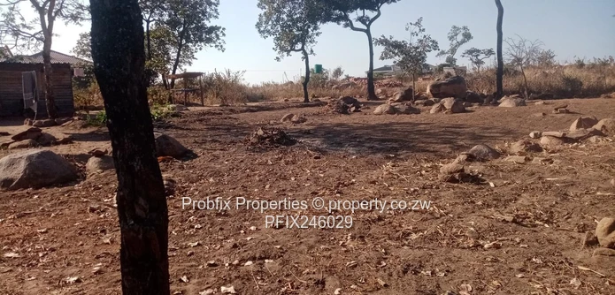 Crow Hill Residential Stand for Sale