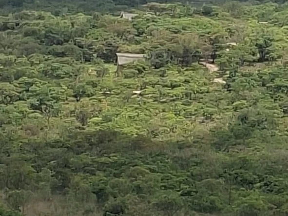 Farm & Agricultural Land