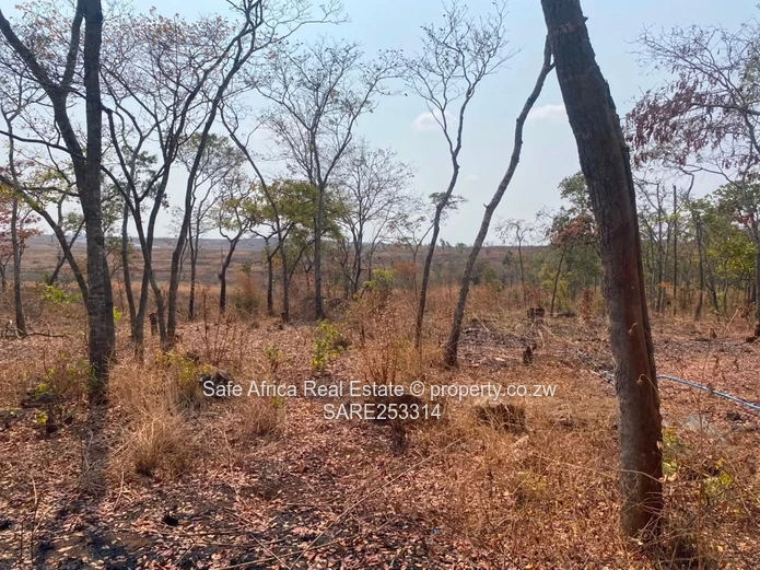 43 Hectares Borrowdale Brooke- Crowhill Road Frontage Plot For Sale