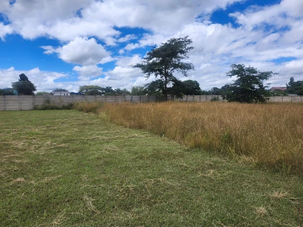 Stands & Residential Land