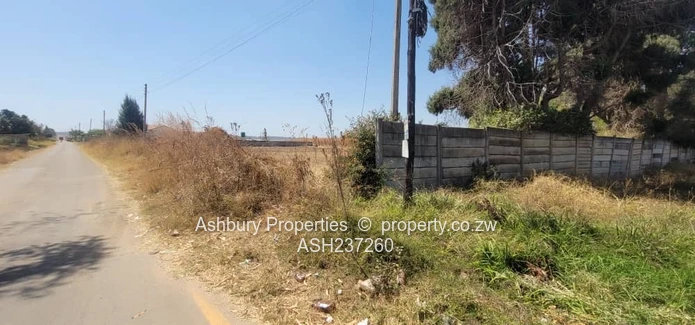 Golden Commercial Opportunity to Establish A Mall & More 