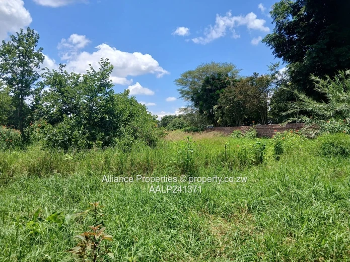 For Sale – Mt Pleasant Residential Stand | US$170,000