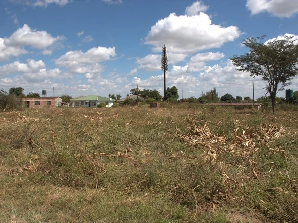 Stands & Residential Land