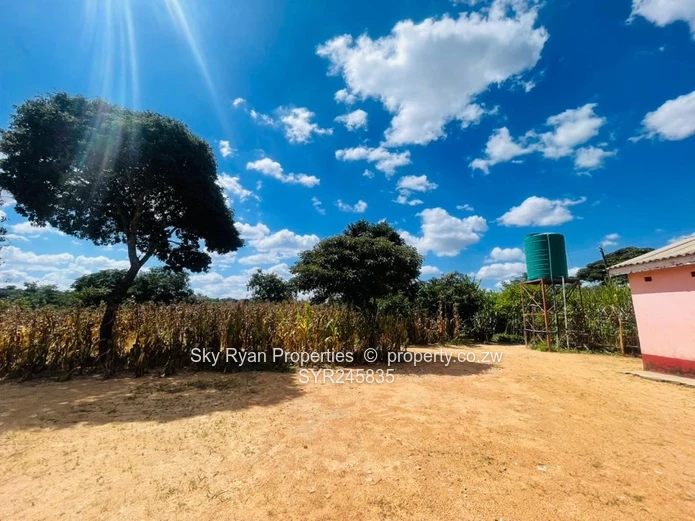 Crowhill Stand For Sale