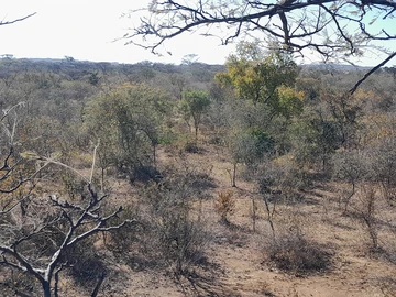 Farm & Agricultural Land