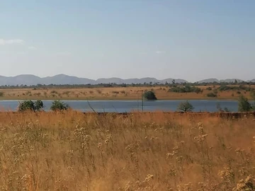 Farm For Sale!!!
