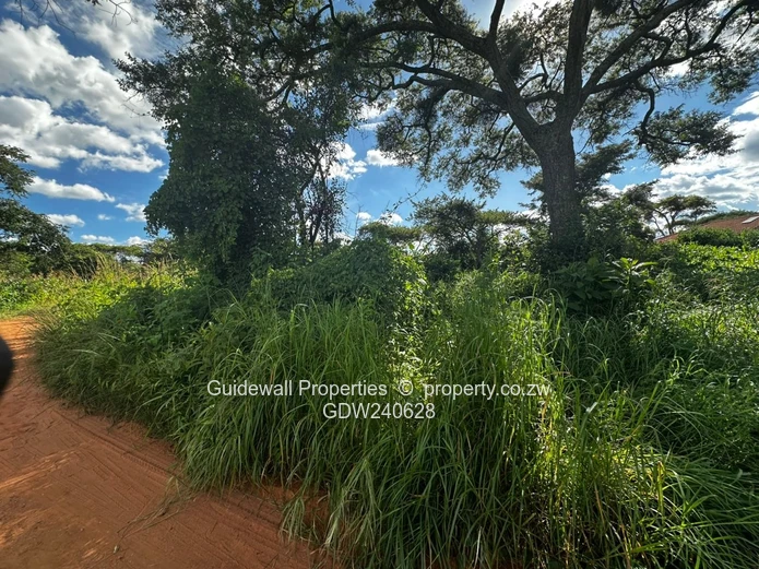 Crowhill stands for sale, a choice of 2  (Sole Mandate)