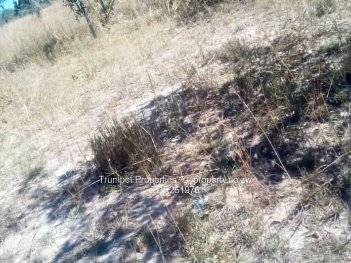 10ha Kwekwe  Farm — Gravel Tracks & Arable Land
