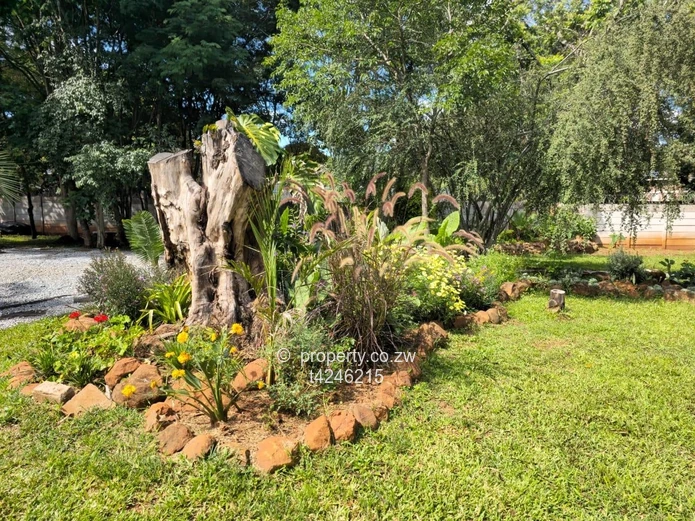 Greystone Park fully furnished house to rent 