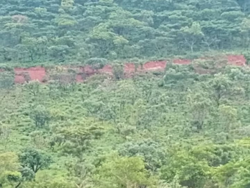 Farm & Agricultural Land