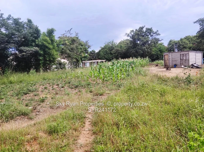 Mabelreign Stand For Sale