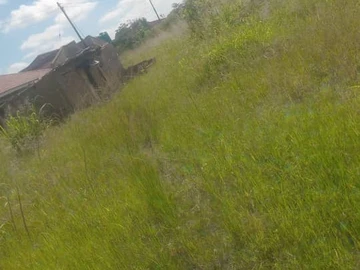 Farm & Agricultural Land