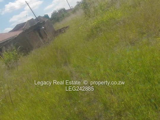 Zvimba Farm for Sale – 50.6 Hectares with Title Deeds