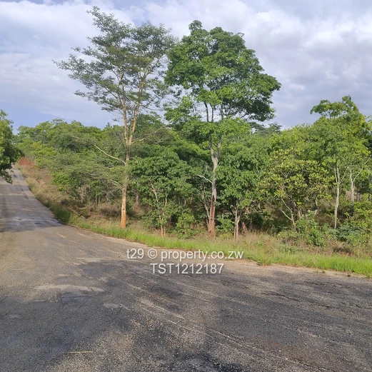 Borrowdale Carrick creagh estate stand for sale (Sole Mandate)