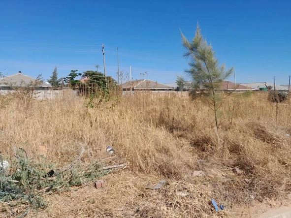 Stands & Residential Land