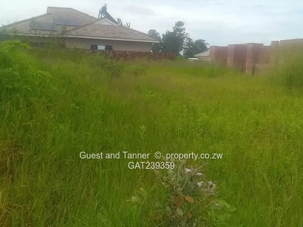 Stand for Sale - Erasmus Park (Sole Mandate)