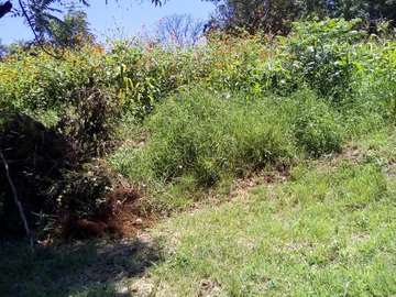 Helensvale, Borrowdale road stand for sale 