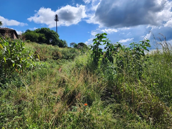 Commercial & Industrial Land