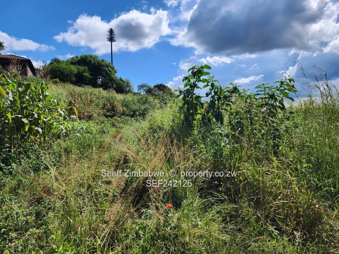 Prime Logistics & Retail Hub: High-Exposure Commercial Asset in Pomona