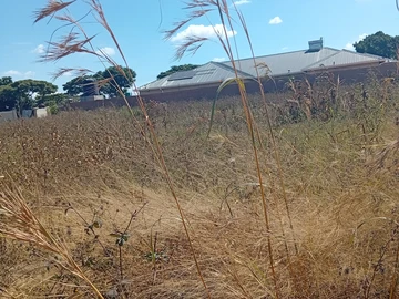 Commercial & Industrial Land