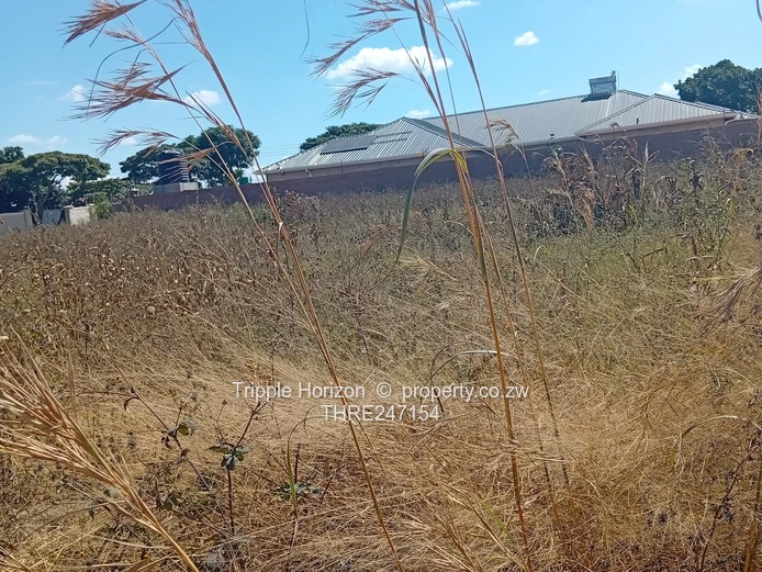 Prime 1600m² Commercial Lot  in Evelengus Damofalls with Main Road Frontage