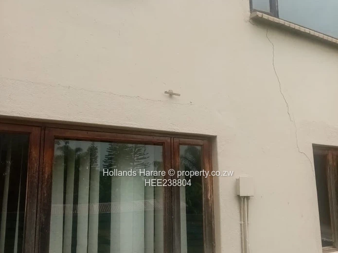 Avondale commercial property.